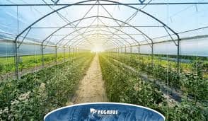 چگونه رطوبت گلخانه را کم کنیم؟