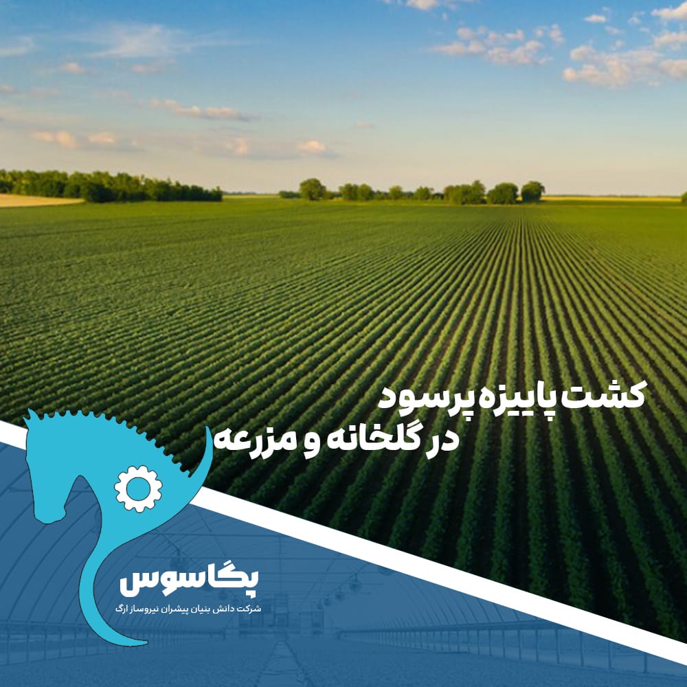 کشت پاییزه پرسود در گلخانه و مزرعه