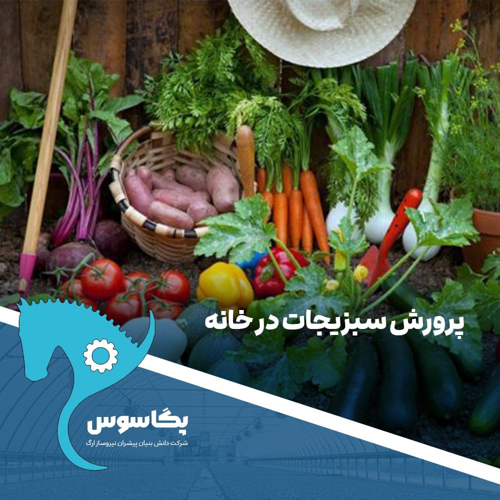 پرورش سبزیجات در خانه