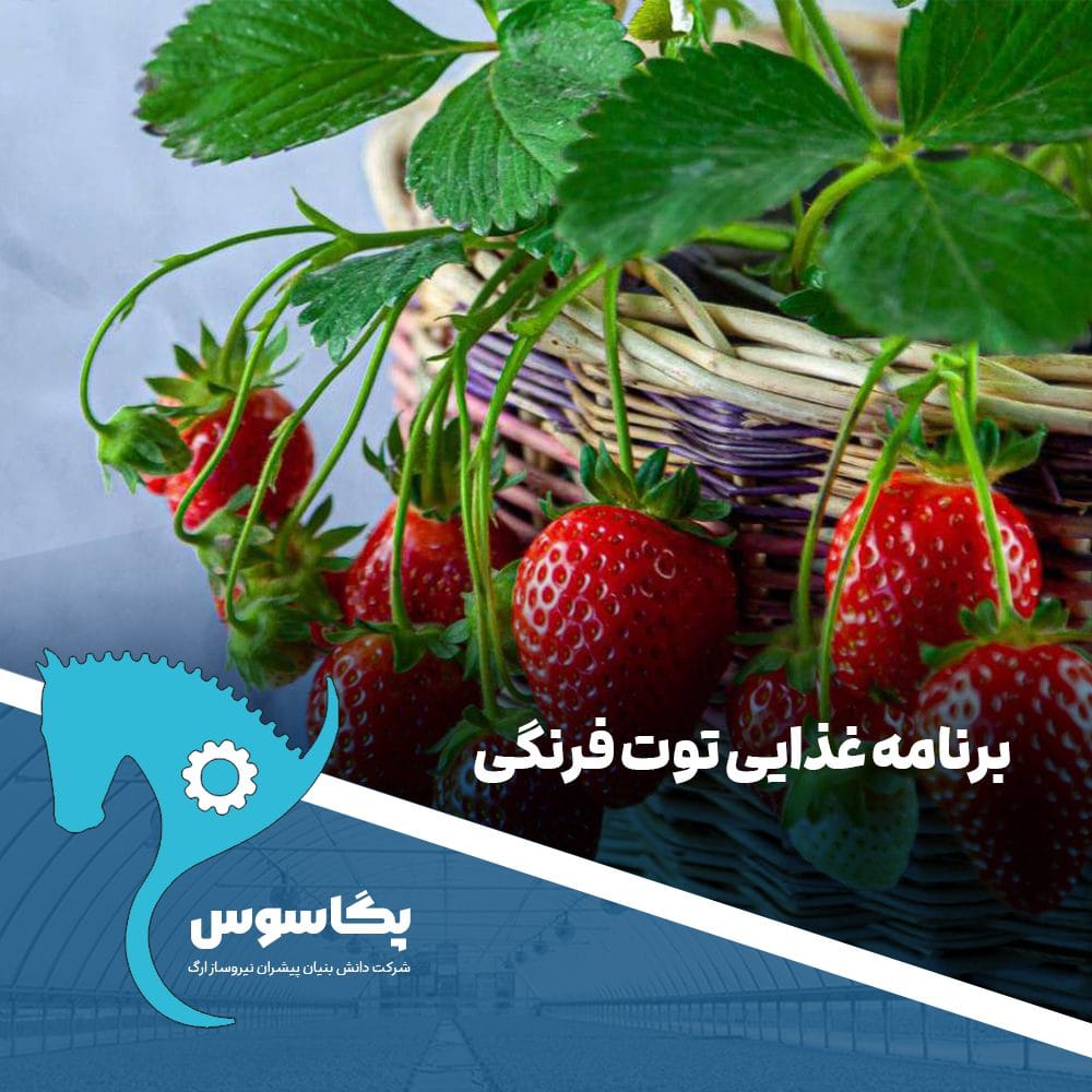 برنامه غذایی توت فرنگی